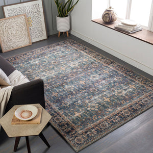 Livabliss Erin Traditional Patterned Polyester Area Rug for Entryways Hallways and Small Spaces ERN2302-264