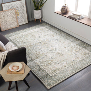 Livabliss Erin Traditional Polyester Machine Woven Rug for Entryways and High Traffic Spaces Cream, Sage 5'3" x 7'7" ERN2310-576