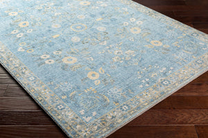 Livabliss Erin Traditional Medallion Polyester Area Rug for Entryway Bathroom or Bedroom Accent Denim, Light Bl 2'7" x 7'7" ERN2311-2676