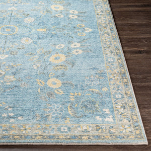 Livabliss Erin Traditional Medallion Polyester Area Rug for Entryway Bathroom or Bedroom Accent Denim, Light Bl 2'7" x 7'7" ERN2311-2676