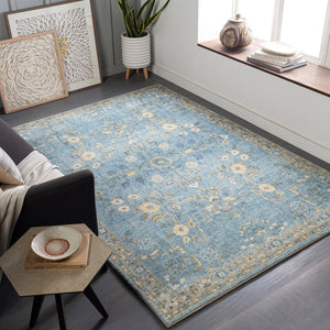 Livabliss Erin Traditional Medallion Polyester Area Rug for Entryway Bathroom or Bedroom Accent Denim, Light Bl 2'7" x 4' ERN2311-264
