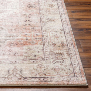 Livabliss Erin Traditional Polyester Area Rug Medium Pile for Entryways Hallways and Accent Spaces ERN2316-264