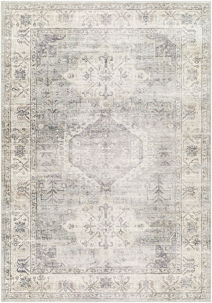 Erin ERN-2317 5'3" x 7'7" Machine Woven Rug ERN2317-576 Livabliss Surya