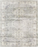 Erin ERN-2317 7'6" x 9'5" Machine Woven Rug ERN2317-7696 Livabliss Surya