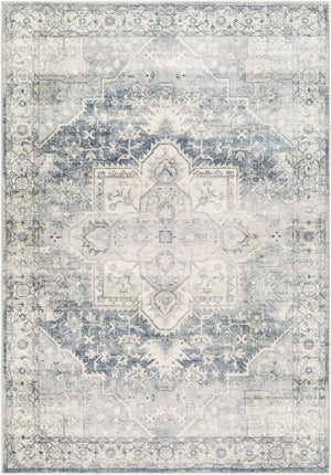 Livabliss Erin Neutral Polyester Machine Woven Area Rug Medium Pile Entryway Accent ERN2318-264