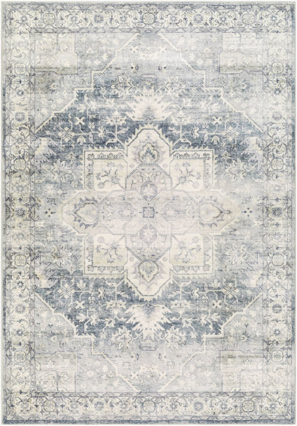 Livabliss Erin Neutral Polyester Machine Woven Area Rug Medium Pile Entryway Accent ERN2318-264