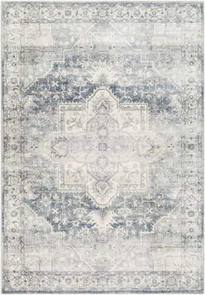 Erin ERN-2318 5'3" x 7'7" Machine Woven Rug ERN2318-576 Livabliss Surya