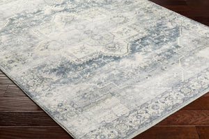 Livabliss Erin Neutral Polyester Machine Woven Area Rug Medium Pile Entryway Accent ERN2318-264