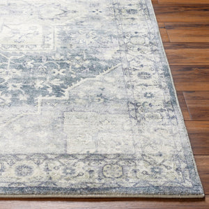 Livabliss Erin Neutral Polyester Machine Woven Area Rug Medium Pile Entryway Accent ERN2318-264