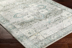 Livabliss Erin Neutral Accent Rug Machine Woven Polyester Medium Pile for Entryways and Baths Cream, Emerald 2'7" x 7'7" ERN2319-2676