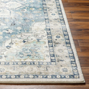 Livabliss Erin Traditional Pattern Runner Rug Polyester Woven for Hallways and Entryways ERN2320-2676