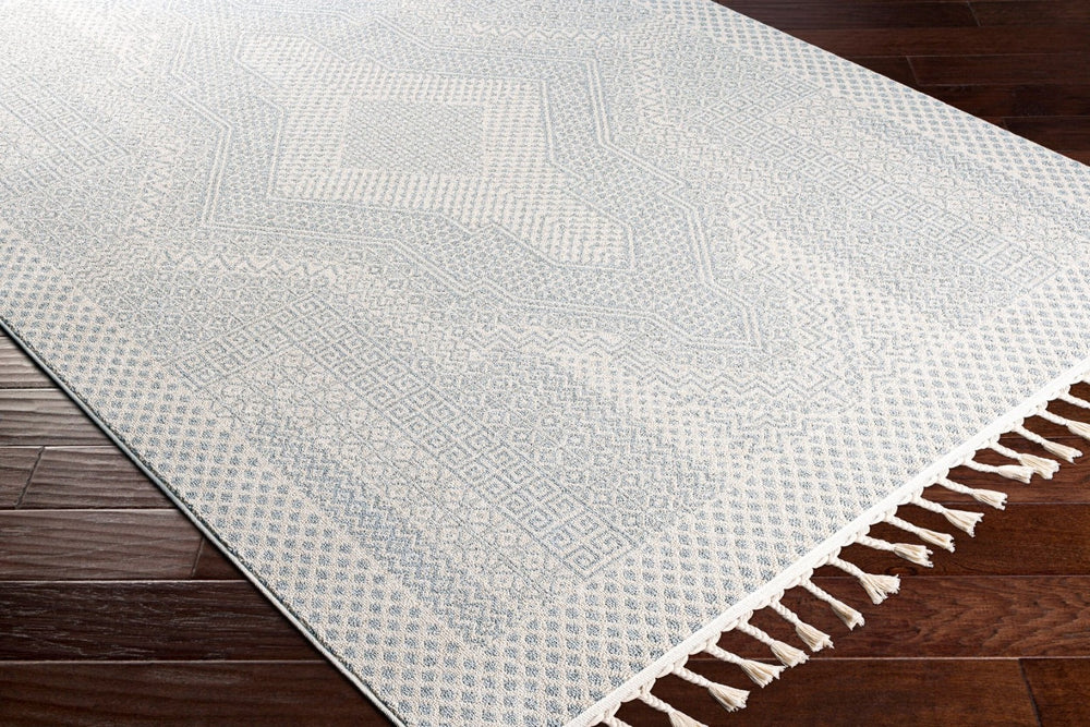 Livabliss Euphoria Bohemian Fringe Accent Rug Machine Woven Polyester for Entryway Bedside ERP2300-23