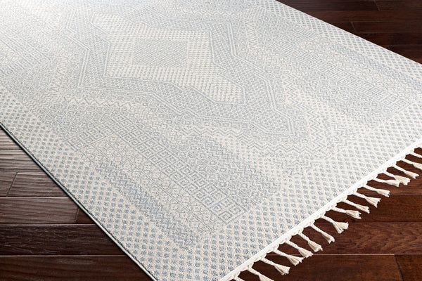Livabliss Euphoria Bohemian Fringe Accent Rug Machine Woven Polyester for Entryway Bedside ERP2300-23