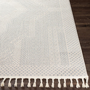 Livabliss Euphoria Bohemian Fringe Accent Rug Machine Woven Polyester for Entryway Bedside ERP2300-23