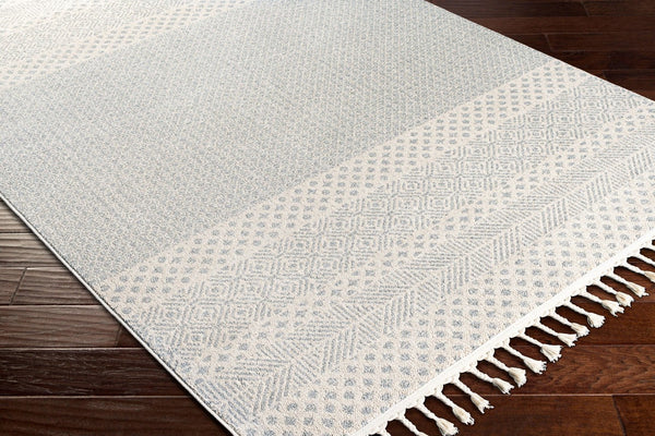 Livabliss Euphoria Machine Woven Polyester Accent Rug with Global Eclectic Design for Entryways ERP2301-23