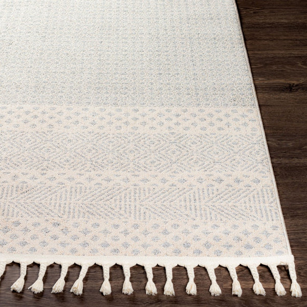 Livabliss Euphoria Machine Woven Polyester Accent Rug with Global Eclectic Design for Entryways ERP2301-23