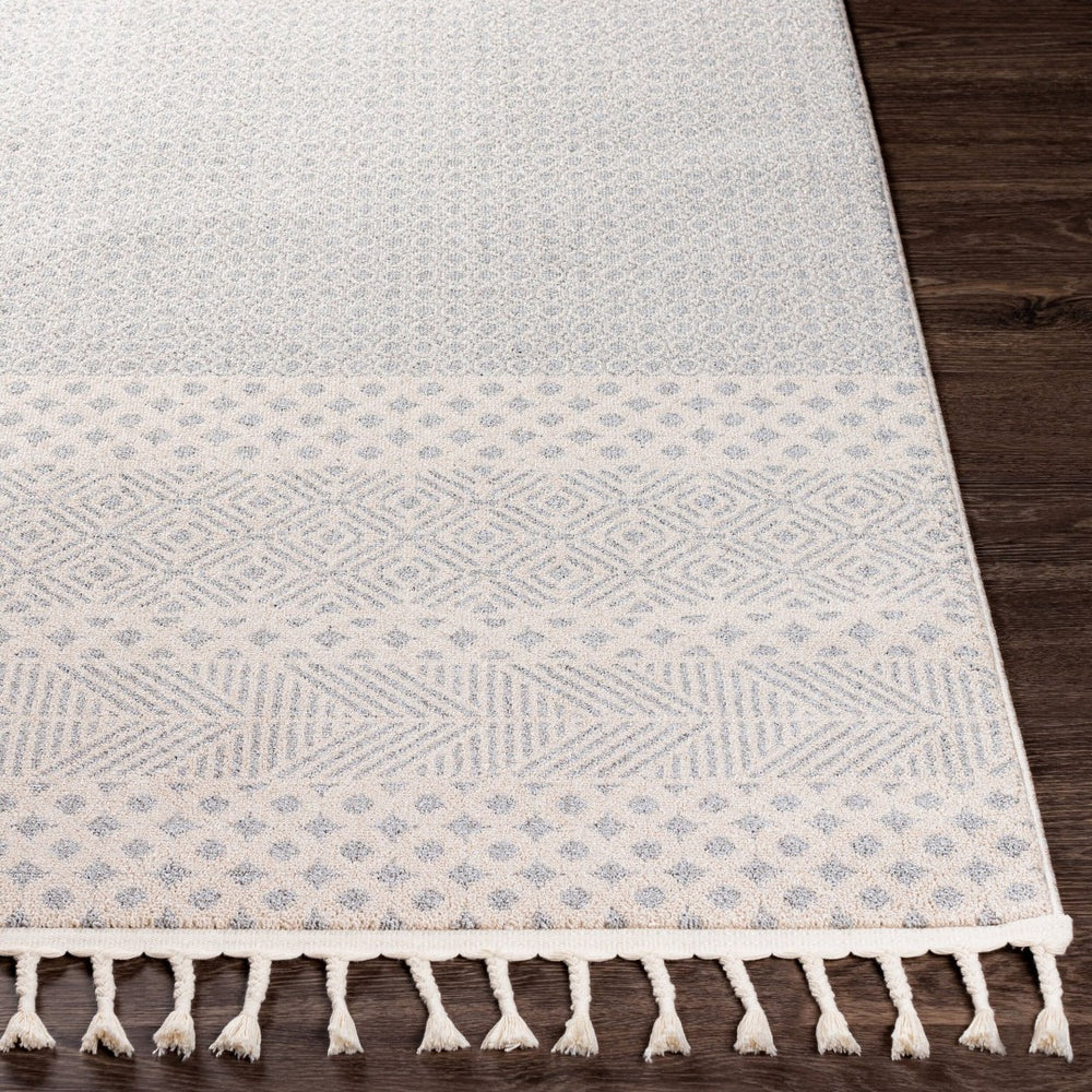 Livabliss Euphoria Global Inspired Polyester Accent Rug Medium Pile Entryway Boho Decor ERP2302-23