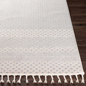 Livabliss Euphoria Global Inspired Polyester Accent Rug Medium Pile Entryway Boho Decor ERP2302-23