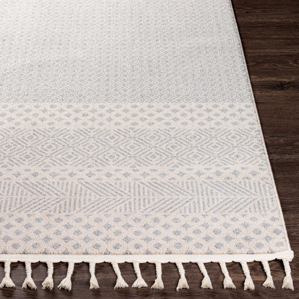 Livabliss Euphoria Global Inspired Polyester Accent Rug Medium Pile Entryway Boho Decor ERP2302-23