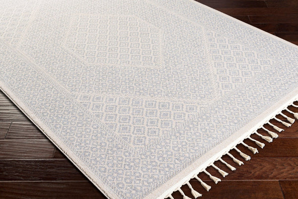 Livabliss Euphoria Global Inspired Machine Woven Polyester Accent Rug for Entryways and Cozy Nooks ERP2303-23