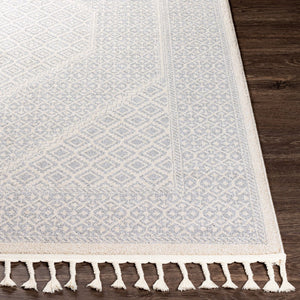 Livabliss Euphoria Global Inspired Machine Woven Polyester Accent Rug for Entryways and Cozy Nooks ERP2303-23
