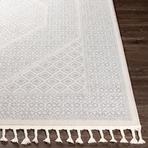 Livabliss Euphoria Global Inspired Machine Woven Polyester Accent Rug for Entryways and Cozy Nooks ERP2303-23