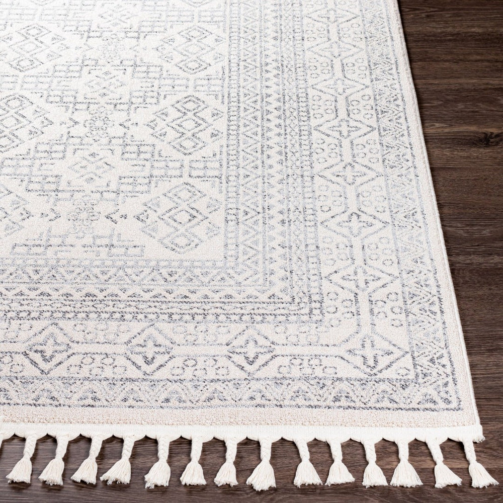 Livabliss Euphoria Global Pattern Polyester Accent Rug Medium Pile for Entryways and Bohemian Rooms ERP2304-23