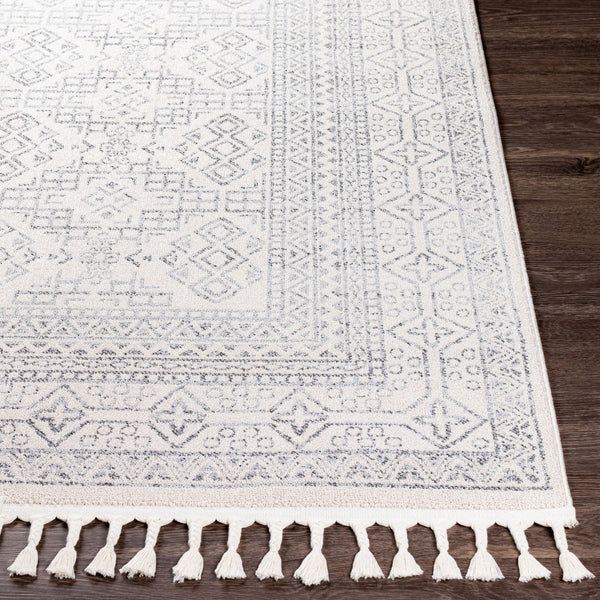 Livabliss Euphoria Global Pattern Polyester Accent Rug Medium Pile for Entryways and Bohemian Rooms ERP2304-23