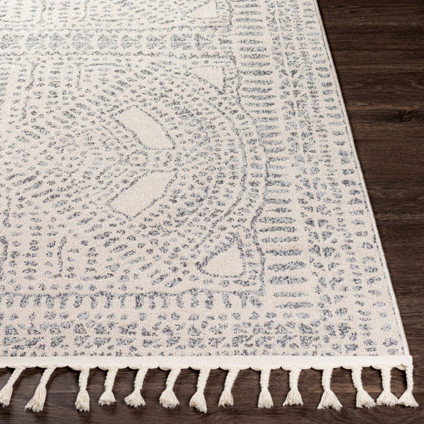 Livabliss Euphoria Moroccan Geometric Polyester Area Rug with Fringe Bohemian Living Room Accent ERP2306-71010