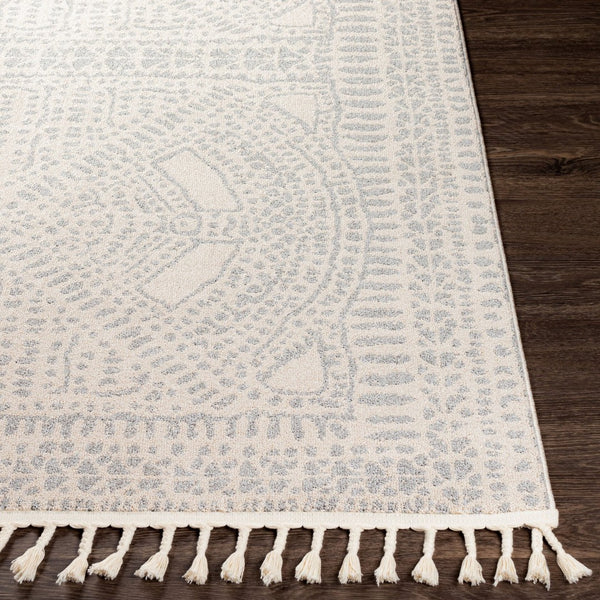 Livabliss Euphoria Bohemian Geometric Polyester Accent Rug with Fringe for Entryways ERP2307-23