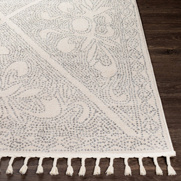 Livabliss Euphoria Moroccan Geometric Runner Rug Polypropylene Fringe Entryway Hallway Accent Charcoal, Mediu 5'3" x 7'3" ERP2308-5373
