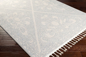 Livabliss Euphoria Moroccan Fringe Area Rug Machine Woven Polypropylene for Entryways ERP2309-23