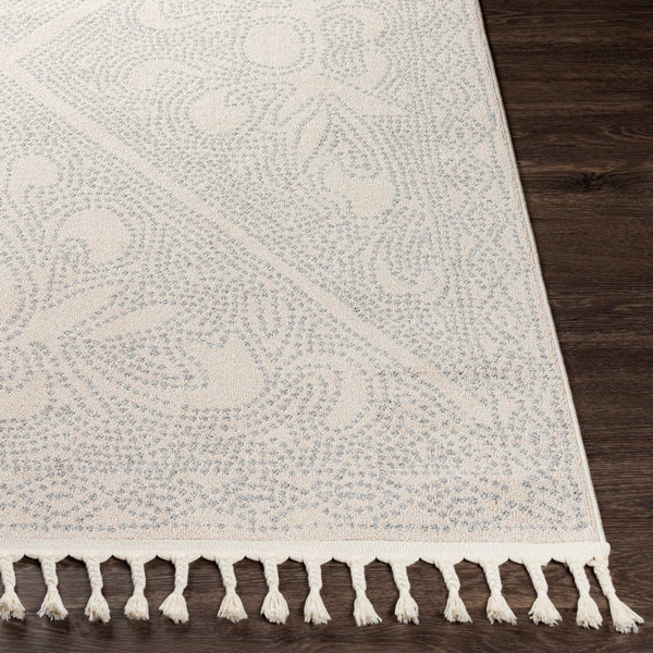 Livabliss Euphoria Moroccan Fringe Area Rug Machine Woven Polypropylene for Entryways ERP2309-23
