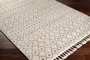 Livabliss Euphoria Bohemian Global Polypropylene Area Rug with Fringe for Living Room ERP2315-5373