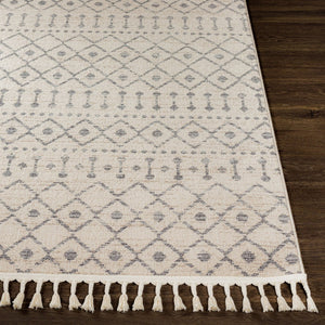 Livabliss Euphoria Bohemian Global Polypropylene Area Rug with Fringe for Living Room ERP2315-5373
