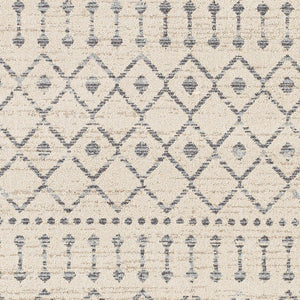 Livabliss Euphoria Bohemian Global Polypropylene Area Rug with Fringe for Living Room ERP2315-5373
