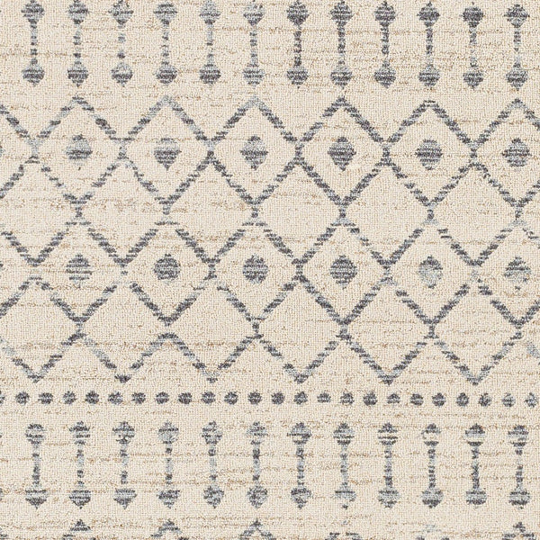 Livabliss Euphoria Bohemian Global Polypropylene Area Rug with Fringe for Living Room ERP2315-5373