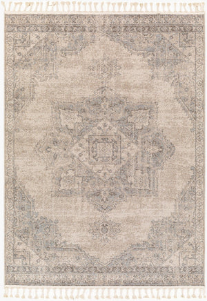 Livabliss Euphoria Traditional Polypropylene Woven Rug for Entryways and Small Accent Spaces ERP2317-23