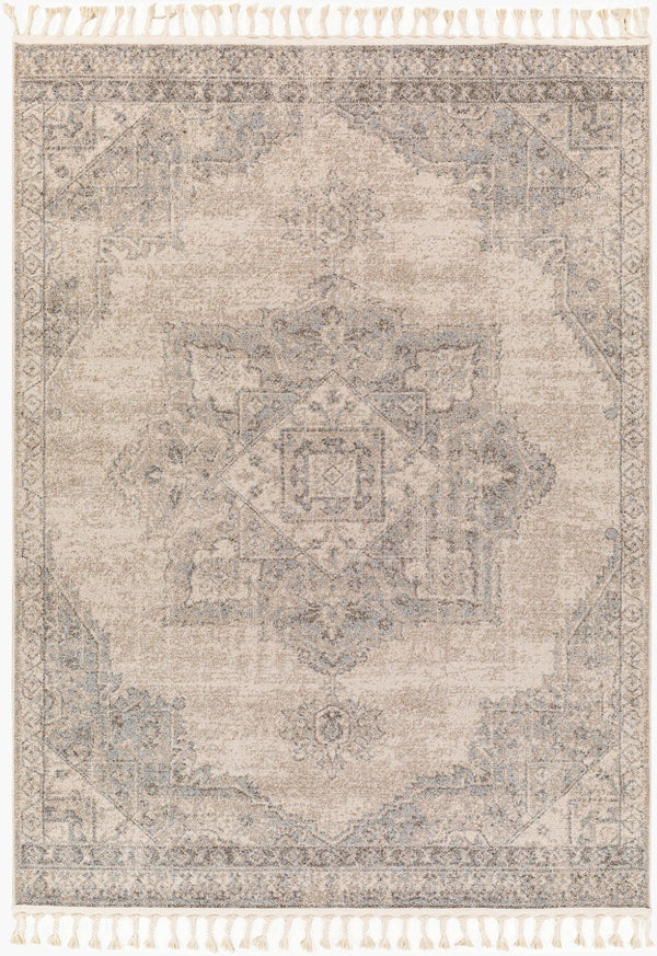 Livabliss Euphoria Traditional Polypropylene Woven Rug for Entryways and Small Accent Spaces ERP2317-23