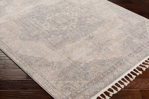 Livabliss Euphoria Traditional Polypropylene Woven Rug for Entryways and Small Accent Spaces ERP2317-23