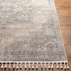 Livabliss Euphoria Traditional Polypropylene Woven Rug for Entryways and Small Accent Spaces ERP2317-23