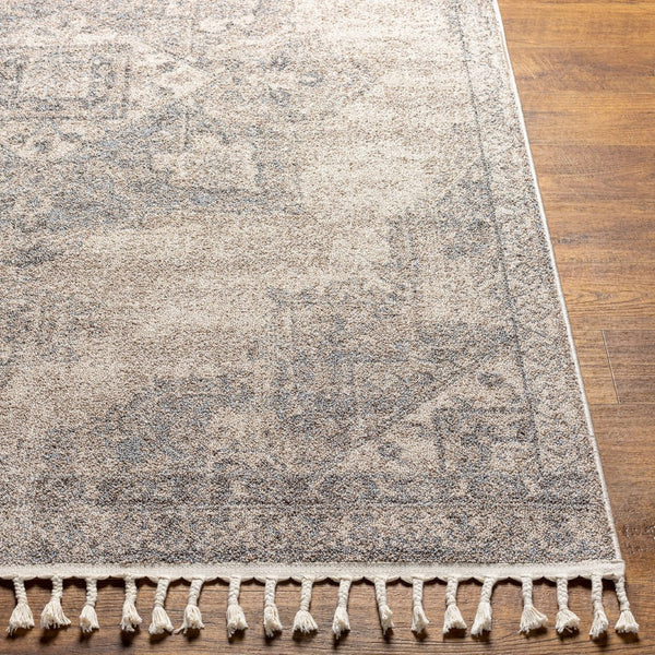 Livabliss Euphoria Traditional Polypropylene Woven Rug for Entryways and Small Accent Spaces ERP2317-23