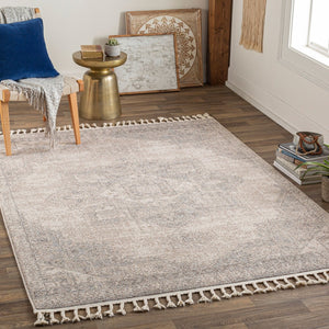Livabliss Euphoria Traditional Polypropylene Woven Rug for Entryways and Small Accent Spaces ERP2317-23