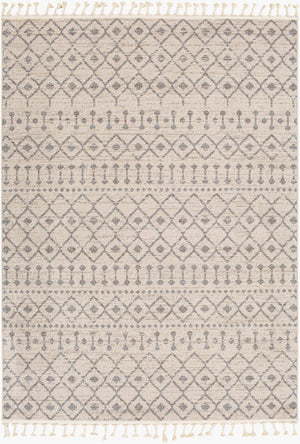Livabliss Euphoria Bohemian Global Fringe Accent Rug Machine Woven Polypropylene Entryway ERP2321-23