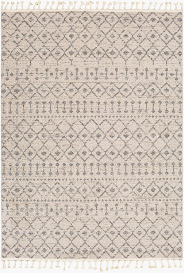 Livabliss Euphoria Bohemian Global Fringe Accent Rug Machine Woven Polypropylene Entryway ERP2321-23