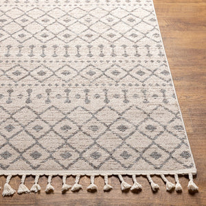Livabliss Euphoria Bohemian Global Fringe Accent Rug Machine Woven Polypropylene Entryway ERP2321-23