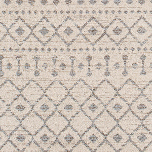 Livabliss Euphoria Bohemian Global Fringe Accent Rug Machine Woven Polypropylene Entryway ERP2321-23