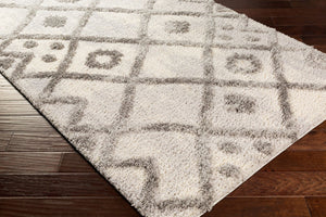 Livabliss Everton Global Inspired Plush Accent Rug Machine Woven for Entryway or Bedside Decor ETN2305-23