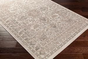 Livabliss Rafetus Traditional Polypropylene Area Rug Low Pile Machine Woven for Living Rooms ETS2337-5376