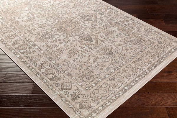Livabliss Rafetus Traditional Polypropylene Area Rug Low Pile Machine Woven for Living Rooms ETS2337-5376